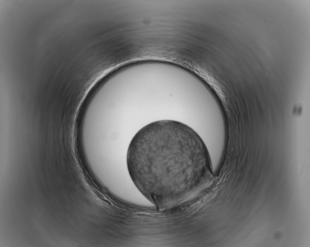 X0000098010580200804251116