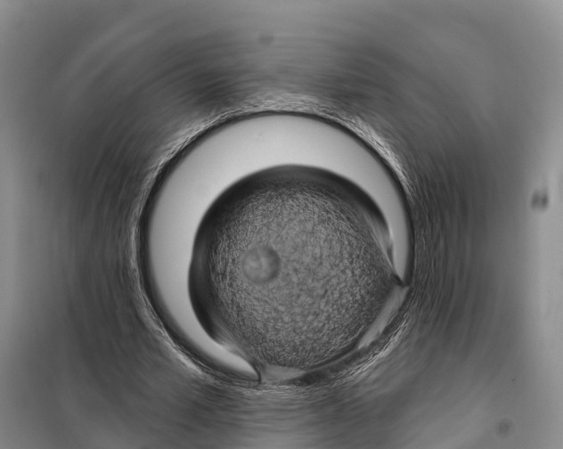 X0000098010581200804251116