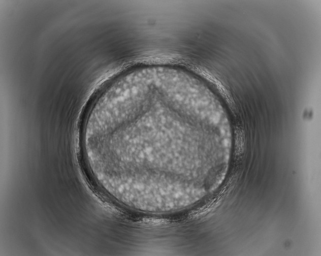 X0000098010582200804251116