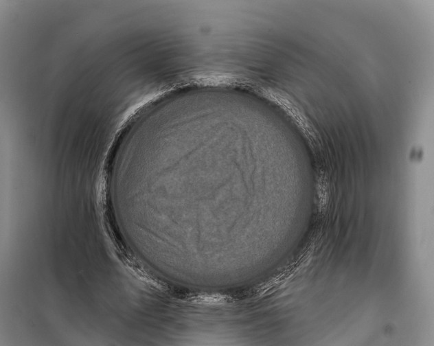 X0000098010583200804251116