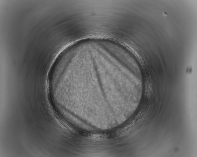 X0000098010584200804251116