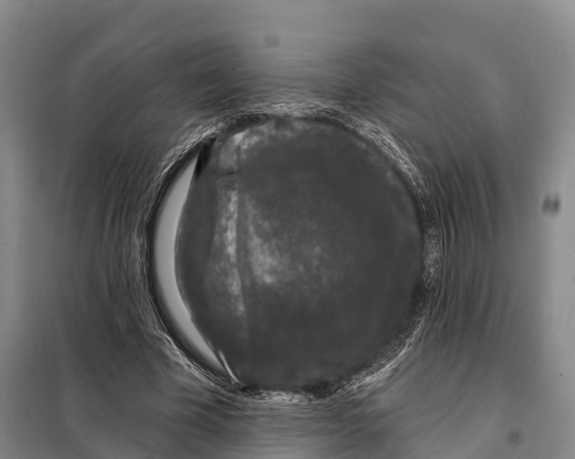 X0000098010585200804251116