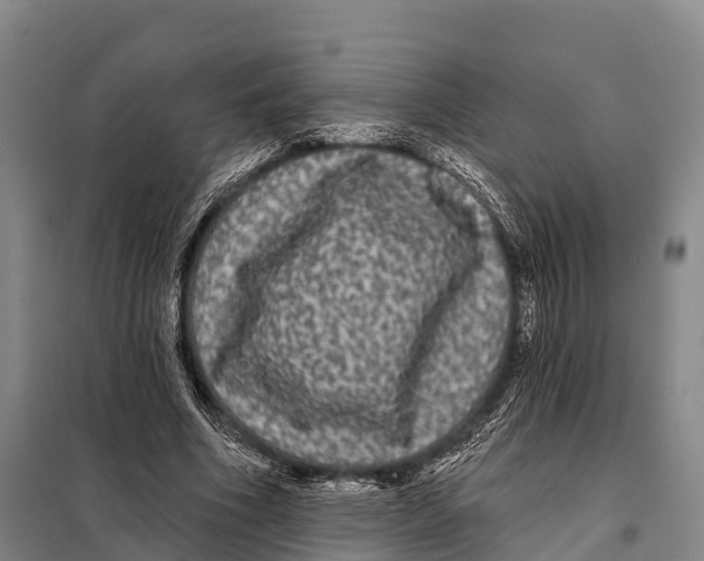 X0000098010586200804251116