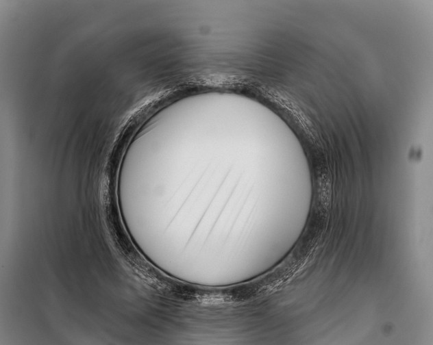 X0000098010587200804251116