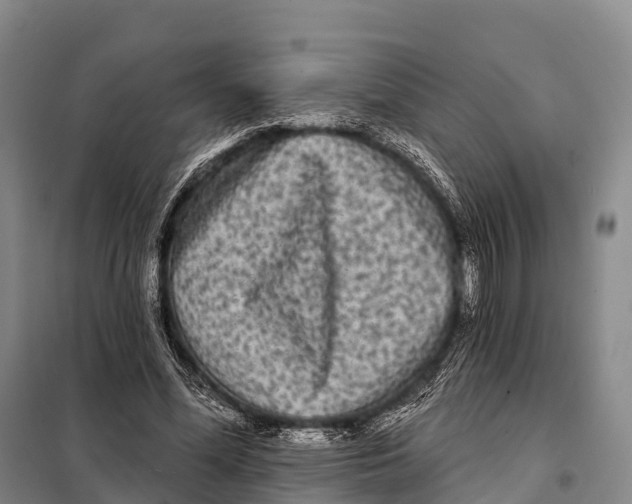 X0000098010588200804251116