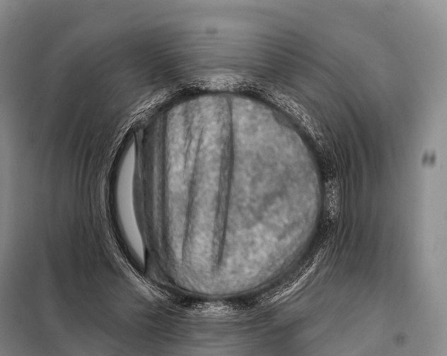 X0000098010589200804251116