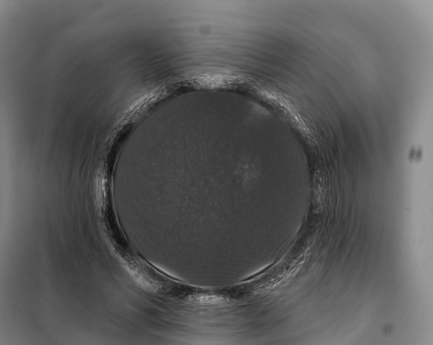 X0000098010590200804251116