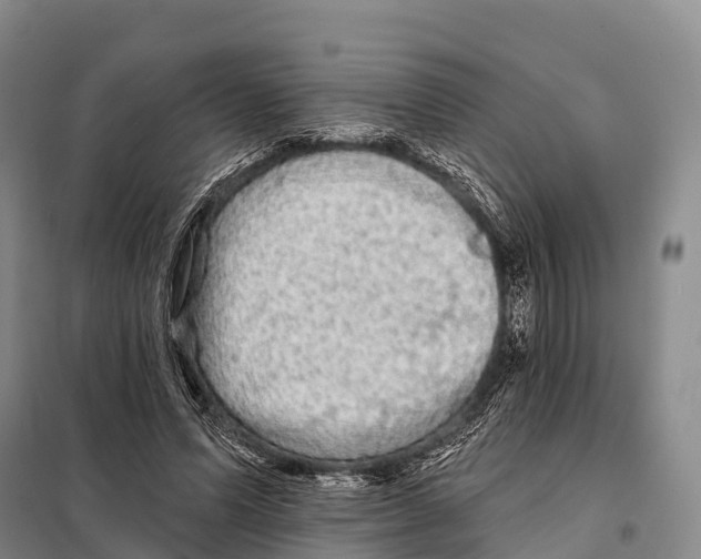 X0000098010591200804251116