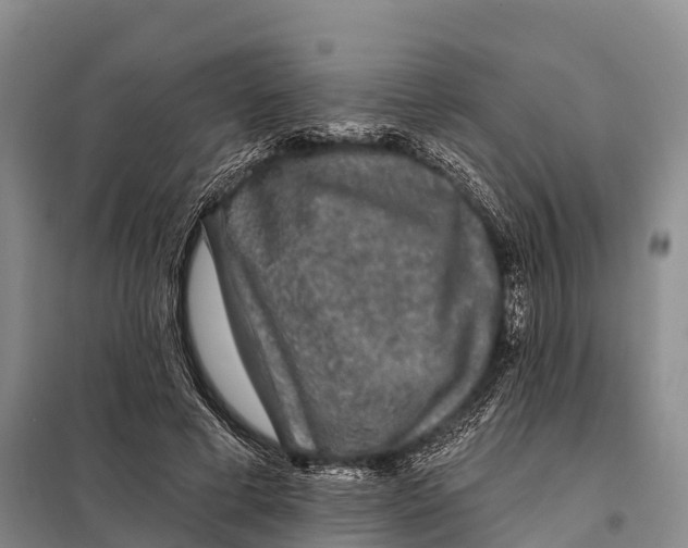 X0000098010593200804251116