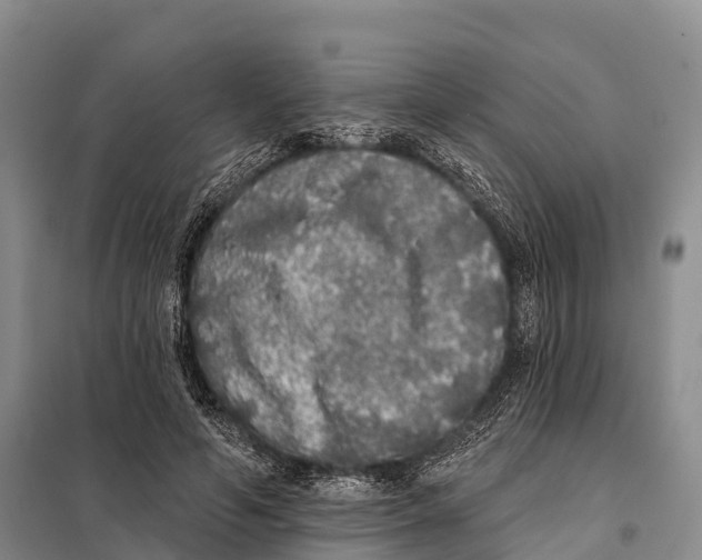 X0000098010594200804251116