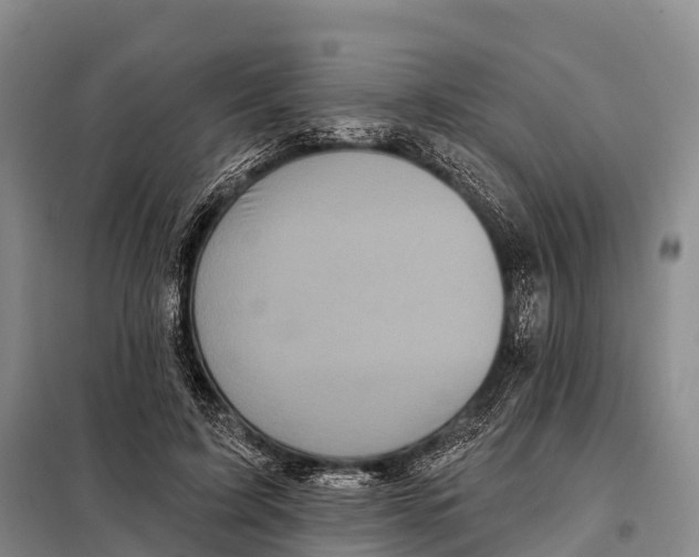 X0000098010595200804251116