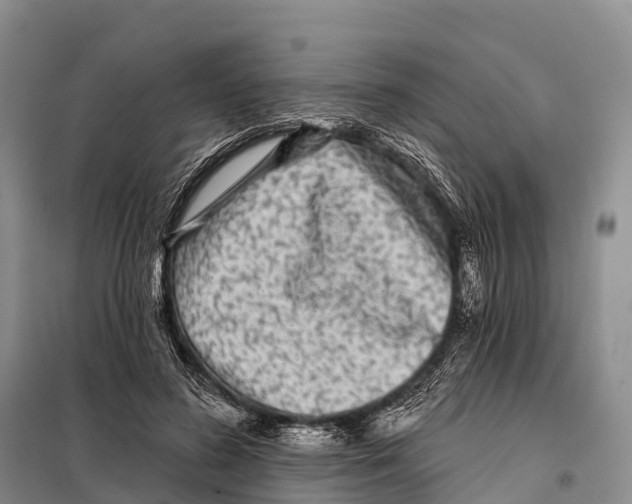 X0000098010596200804251116