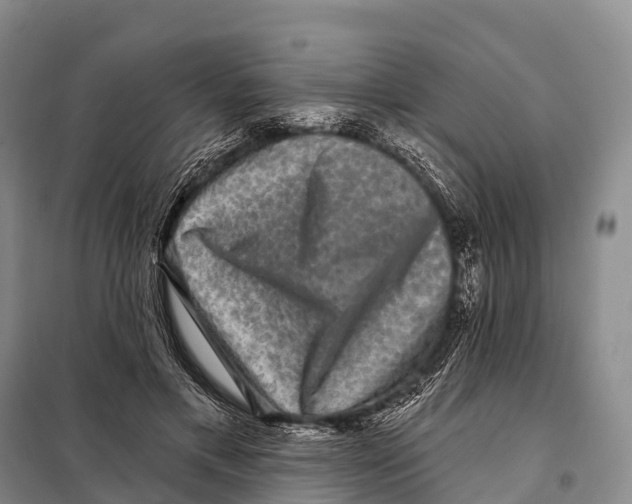 X0000098010597200804251116