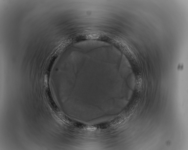 X0000098010598200804251116