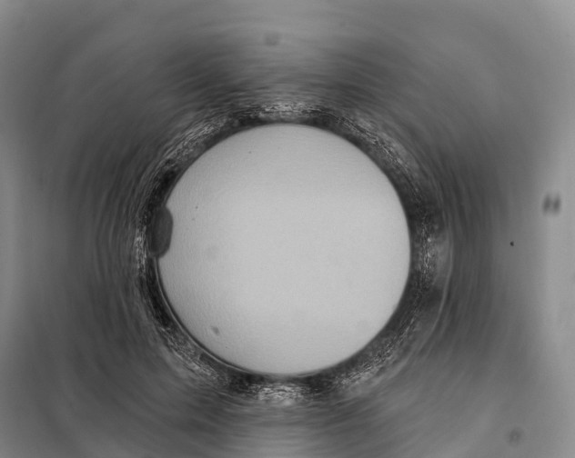 X0000098010599200804251116