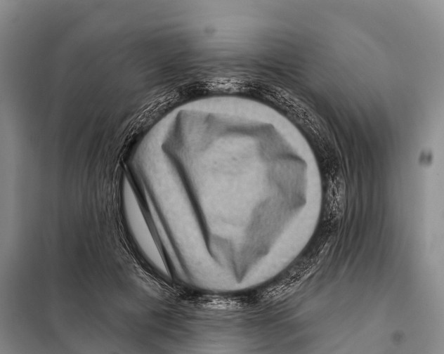 X0000098010601200804251116