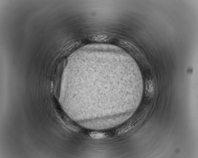 X0000098010602200804251116