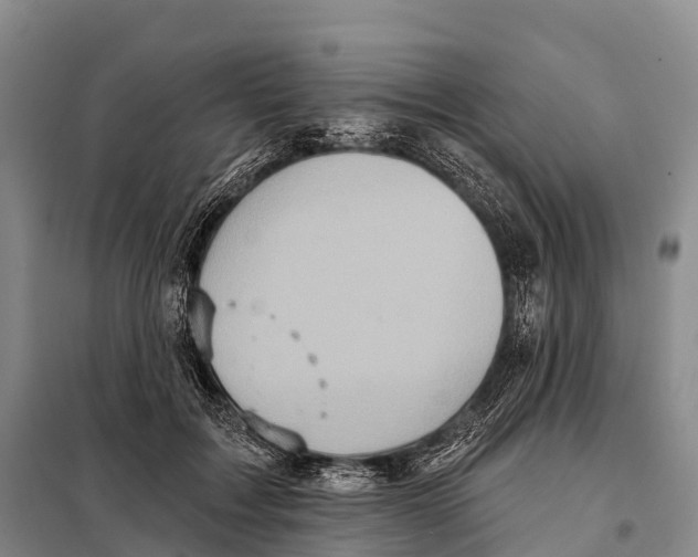 X0000098010603200804251116