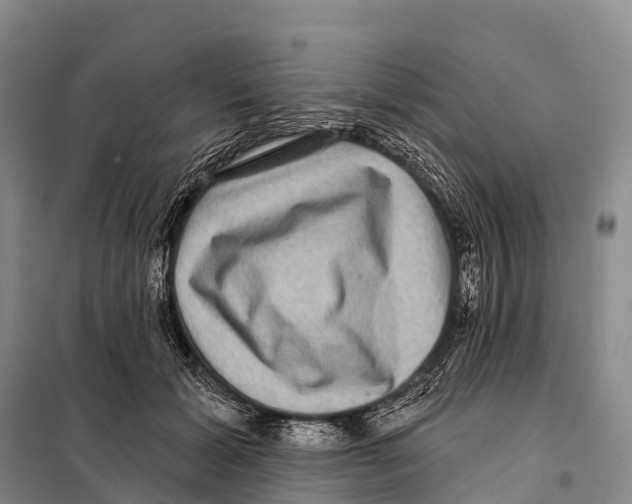 X0000098010605200804251116