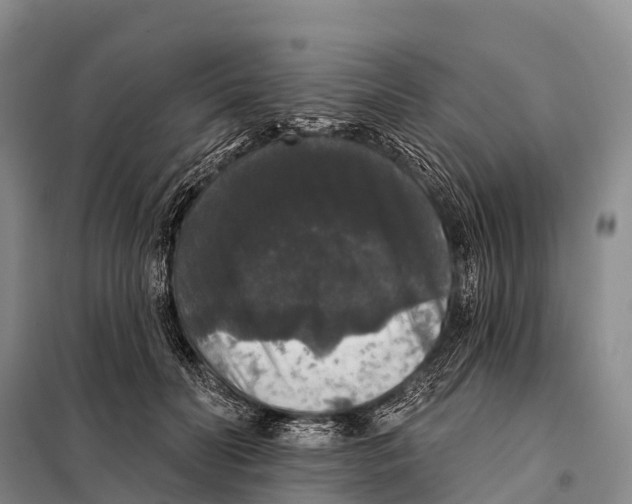 X0000098010606200804251116