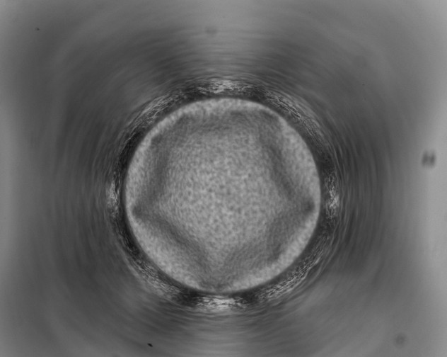 X0000098010607200804251116