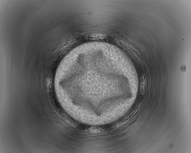 X0000098010608200804251116