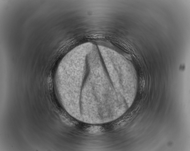 X0000098010609200804251116