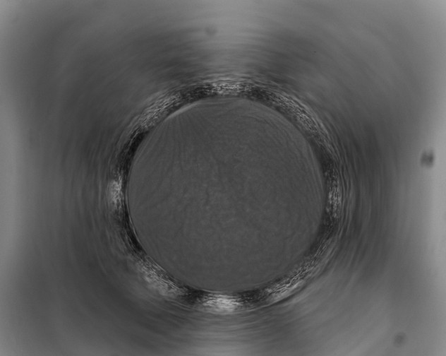 X0000098010610200804251116