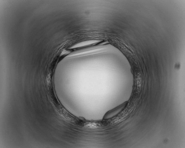 X0000098010611200804251116