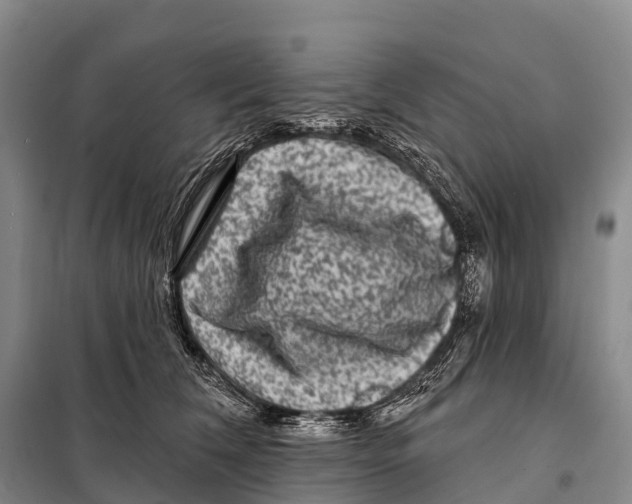 X0000098010612200804251116