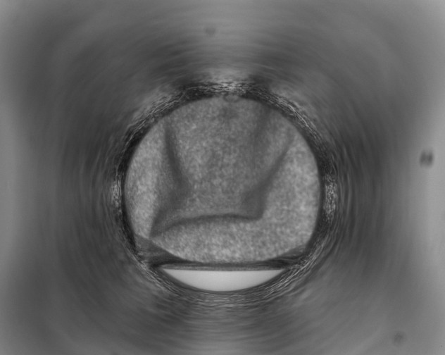 X0000098010613200804251116