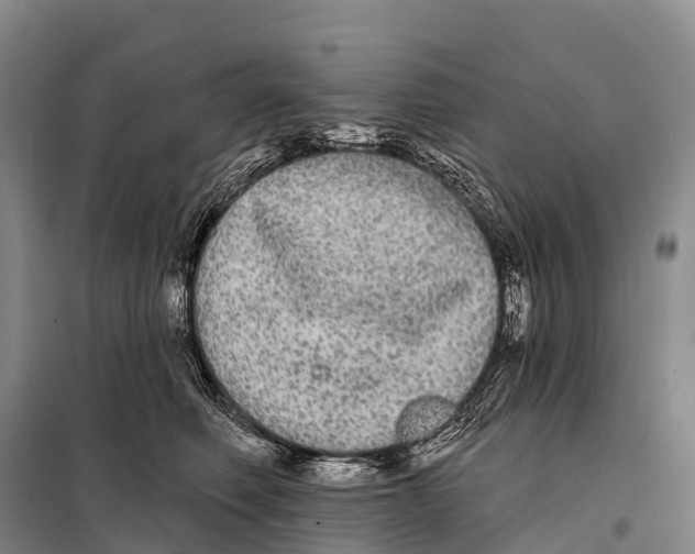 X0000098010614200804251116