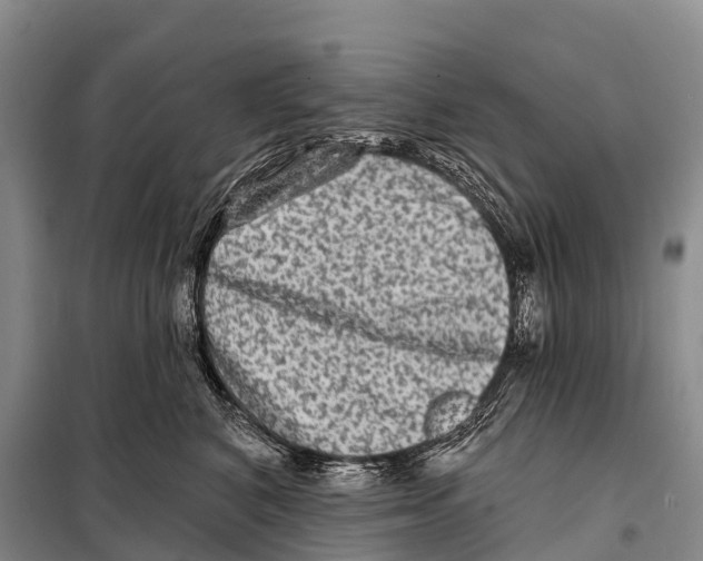 X0000098010616200804251116