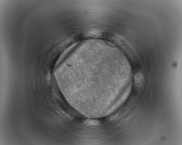 X0000098010617200804251116