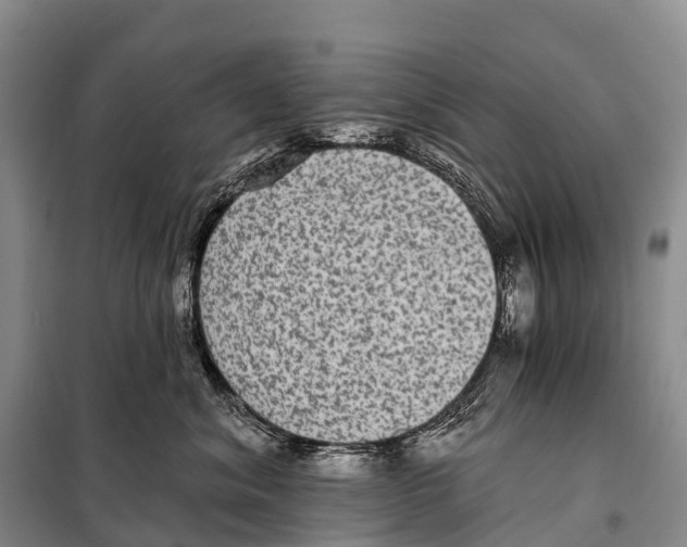 X0000098010620200804251116