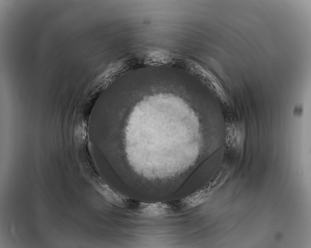 X0000098010621200804251116