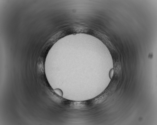 X0000098010622200804251116