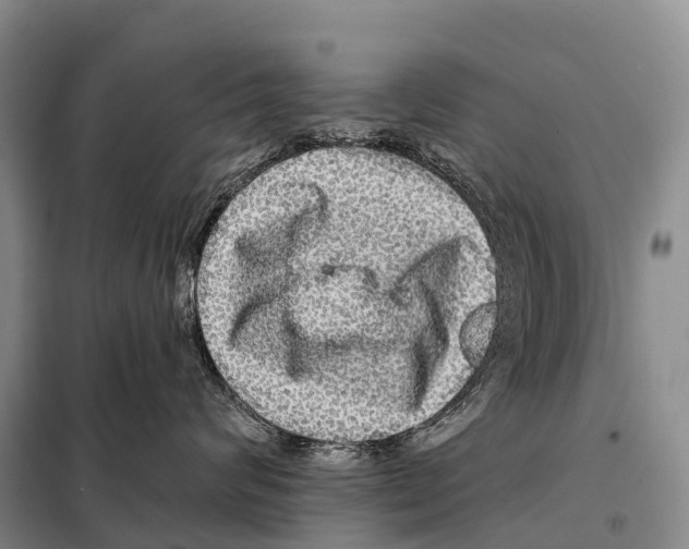 X0000098010624200804251116