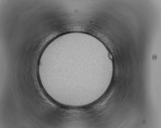 X0000098010625200804251115