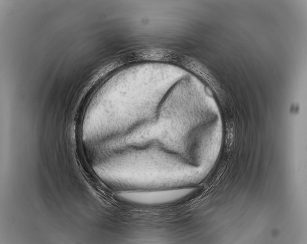 X0000098010626200804251115