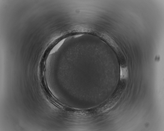 X0000098010627200804251115