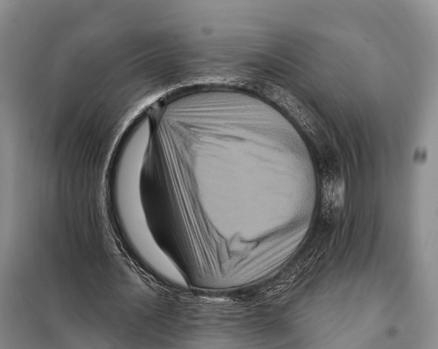 X0000098010628200804251115