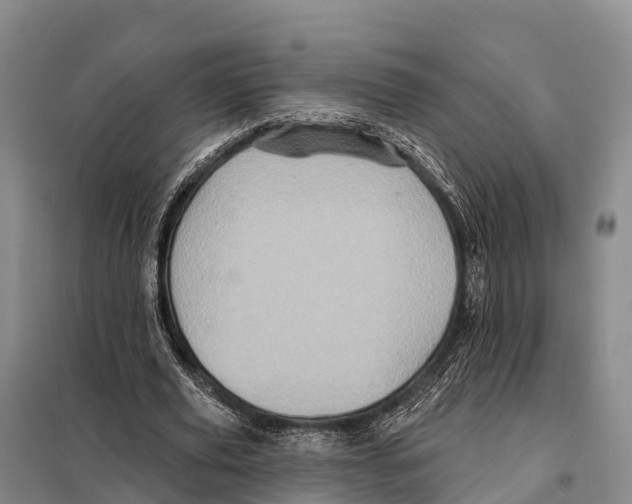 X0000098010629200804251115