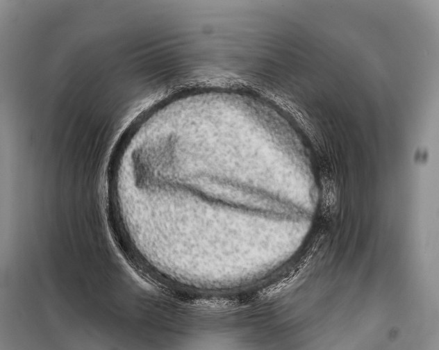 X0000098010630200804251115