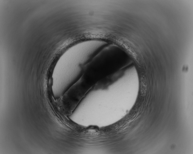 X0000098010631200804251115