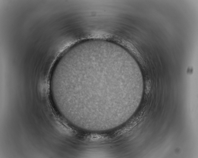 X0000098010632200804251115