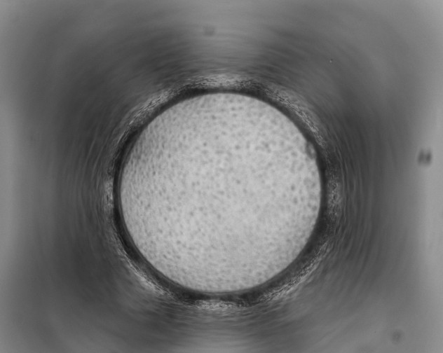 X0000098010633200804251115