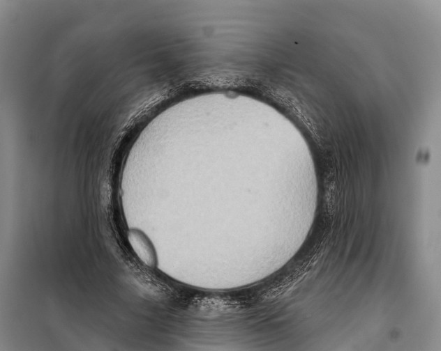 X0000098010635200804251115