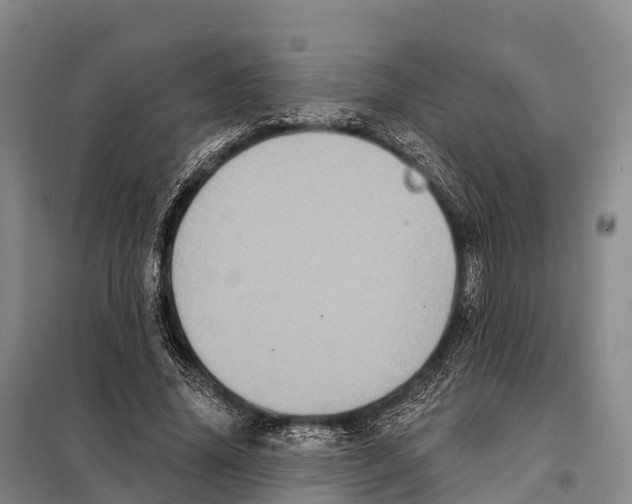 X0000098010636200804251115