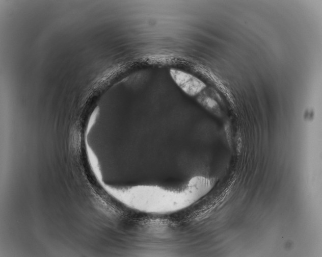 X0000098010637200804251115